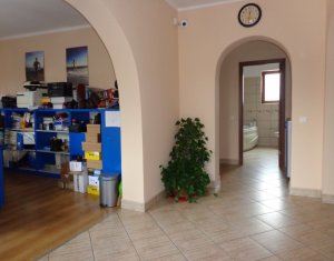 Maison 6 chambres à vendre dans Cluj-napoca, zone Gruia