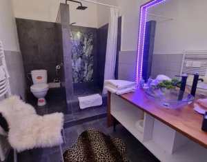 Maison 5 chambres à vendre dans Cluj-napoca, zone Gruia