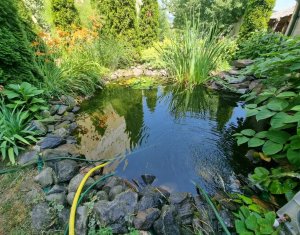 Maison 5 chambres à vendre dans Cluj-napoca, zone Gruia