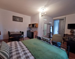 Maison 5 chambres à vendre dans Cluj-napoca, zone Gruia