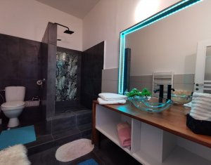 Maison 5 chambres à vendre dans Cluj-napoca, zone Gruia