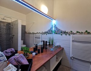 Maison 5 chambres à vendre dans Cluj-napoca, zone Gruia