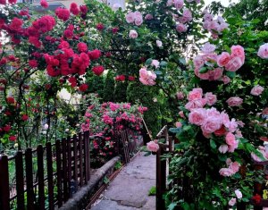 Maison 5 chambres à vendre dans Cluj-napoca, zone Gruia