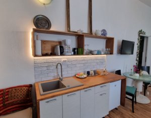 Maison 5 chambres à vendre dans Cluj-napoca, zone Gruia