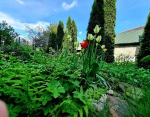 Maison 5 chambres à vendre dans Cluj-napoca, zone Gruia