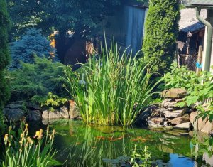 Maison 5 chambres à vendre dans Cluj-napoca, zone Gruia