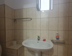Appartement 4 chambres à louer dans Cluj-napoca, zone Gruia