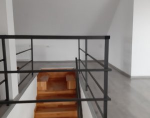 Maison 4 chambres à louer dans Cluj-napoca, zone Someseni