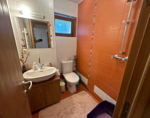 Maison 6 chambres à vendre dans Cluj-napoca, zone Andrei Muresanu