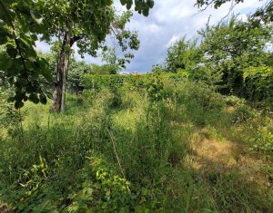 Telek eladó on Cluj-napoca, Zóna Gheorgheni