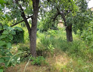Telek eladó on Cluj-napoca, Zóna Gheorgheni