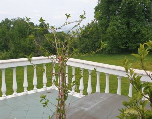 Maison 6 chambres à vendre dans Feleacu