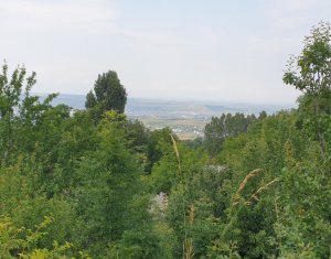 Maison 6 chambres à vendre dans Feleacu