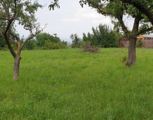 Terrain à vendre dans Feleacu