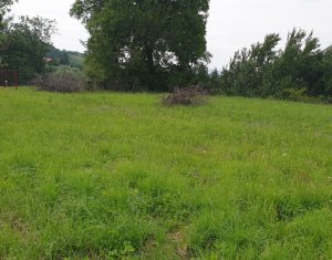 Terrain à vendre dans Feleacu