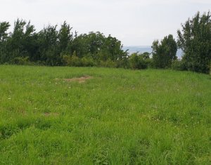 Terrain à vendre dans Feleacu