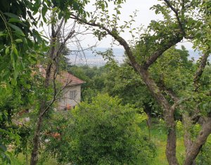 Terrain à vendre dans Feleacu