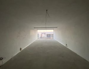 Maison 4 chambres à vendre dans Cluj-napoca, zone Iris