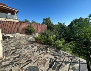 Maison 6 chambres à vendre dans Cluj-napoca, zone Andrei Muresanu