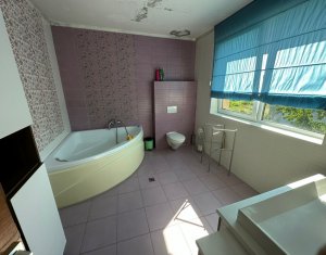 Maison 6 chambres à vendre dans Cluj-napoca, zone Andrei Muresanu