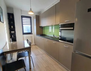 Appartement 2 chambres à louer dans Cluj-napoca, zone Borhanci