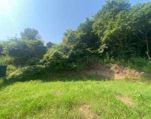 Maison 5 chambres à vendre dans Floresti