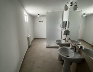 Maison 8 chambres à louer dans Cluj-napoca, zone Centru