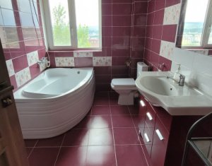 Maison 5 chambres à louer dans Cluj-napoca, zone Manastur