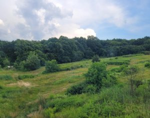 Maison 5 chambres à louer dans Cluj-napoca, zone Manastur