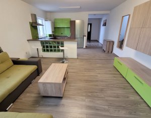 Maison 5 chambres à louer dans Cluj-napoca, zone Manastur