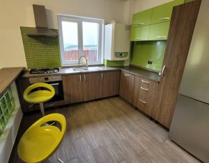 Maison 5 chambres à louer dans Cluj-napoca, zone Manastur