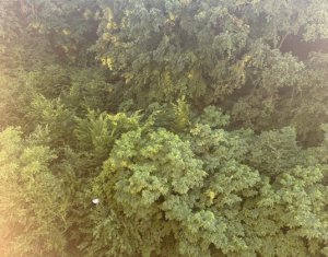 Studio à vendre dans Cluj-napoca