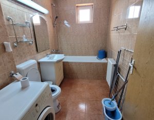 Appartement 1 chambres à louer dans Cluj-napoca