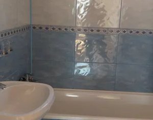 Maison 3 chambres à louer dans Cluj-napoca, zone Europa