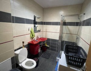 Appartement 2 chambres à louer dans Cluj-napoca, zone Zorilor