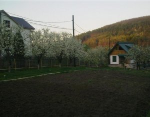 , 1000m2 on Floresti