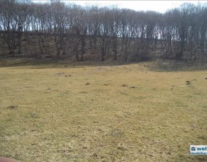 , 5800m2 on Floresti