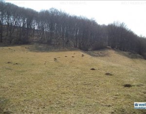 Telek eladó on Floresti