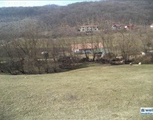 Telek eladó on Floresti