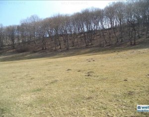 Telek eladó on Floresti