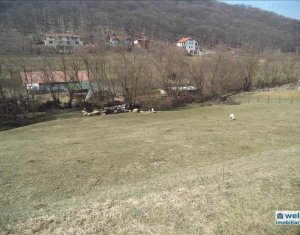 Telek eladó on Floresti