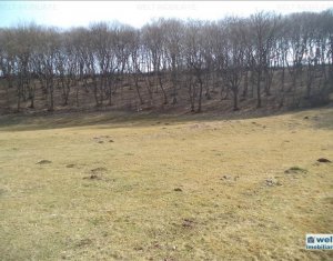 Telek eladó on Floresti