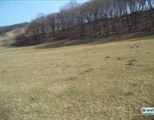 Telek eladó on Floresti