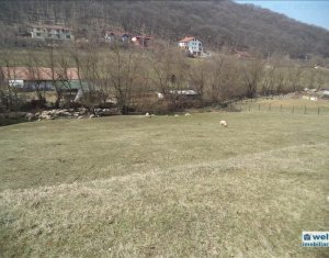 Telek eladó on Floresti