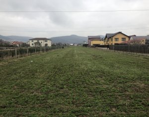 , 3300m2 on Floresti