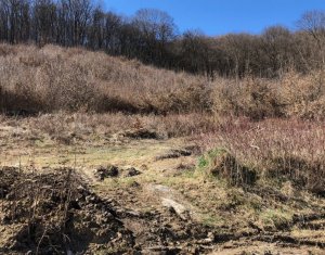 Telek eladó on Floresti