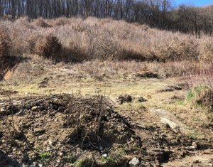 Telek eladó on Floresti