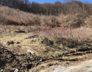 Telek eladó on Floresti