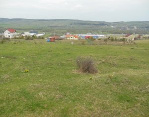 , 5872m2 on Floresti