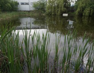 Telek eladó on Gilau